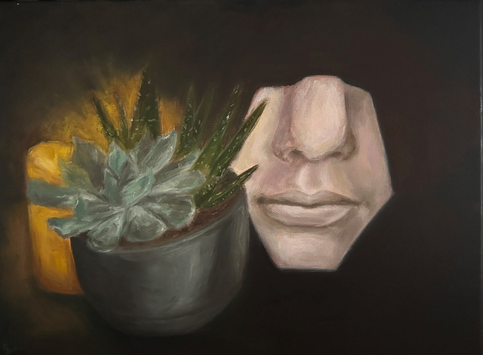 Suculente — Ulei pe pânză · 30 × 40 cm · 2026